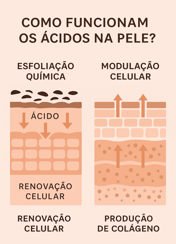 Imagem mostrando como é feita a renovação celular na epiderme.