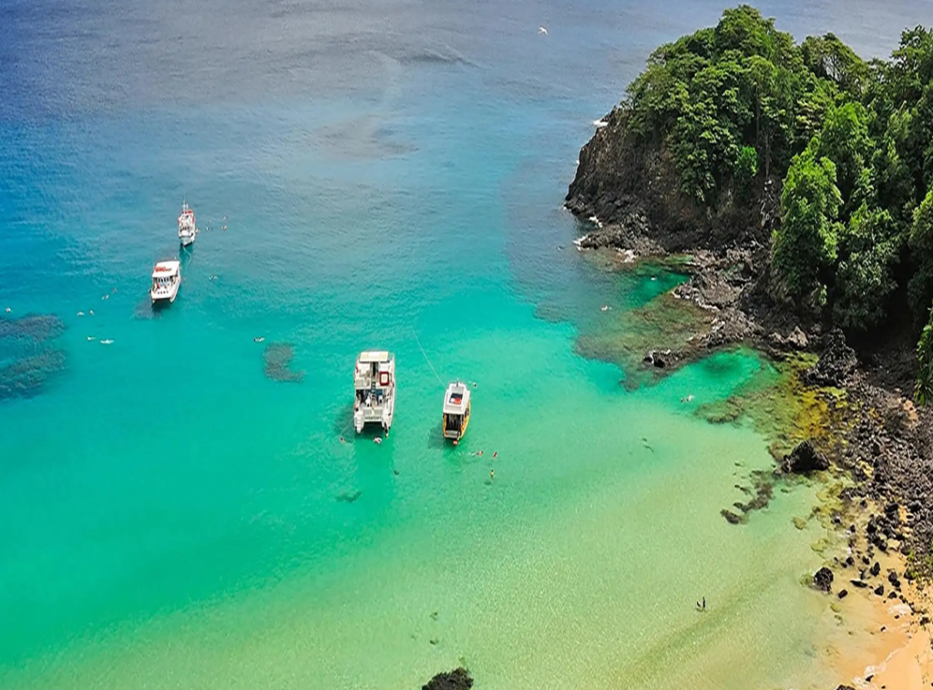 O que fazer em Fernando de Noronha