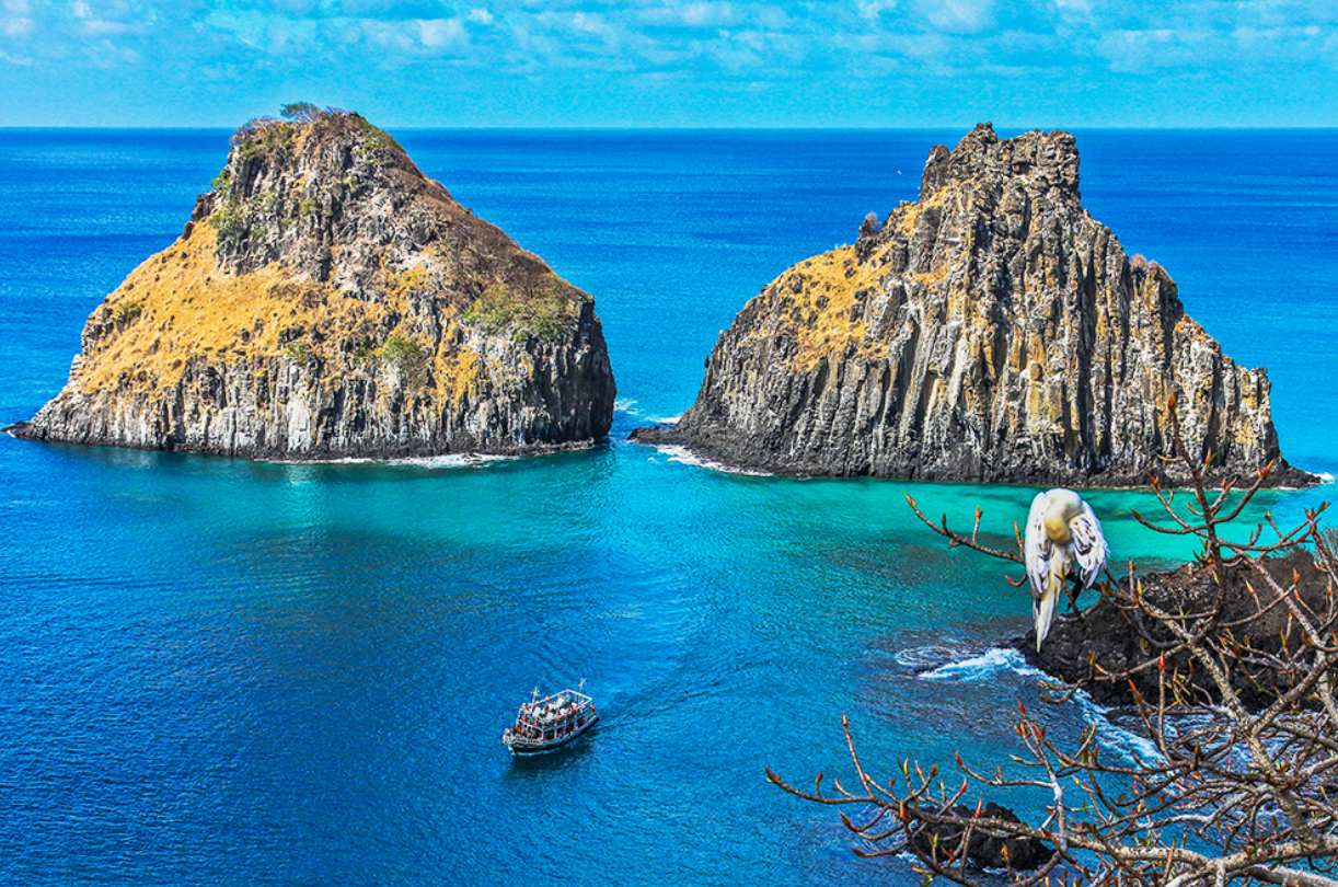 Quando ir para Fernando de Noronha: melhor época para viajar mês a mês