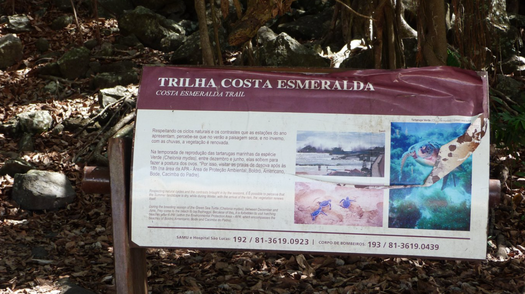 Trilha Costa Esmeralda em Fernando de Noronha